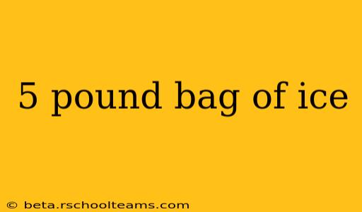 5 pound bag of ice