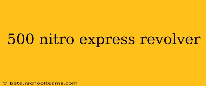 500 nitro express revolver