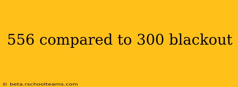 556 compared to 300 blackout
