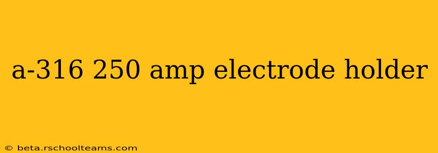 a-316 250 amp electrode holder