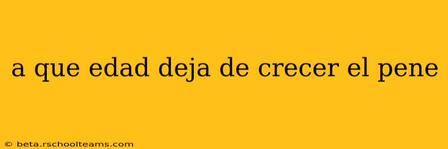 a que edad deja de crecer el pene