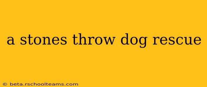 a stones throw dog rescue
