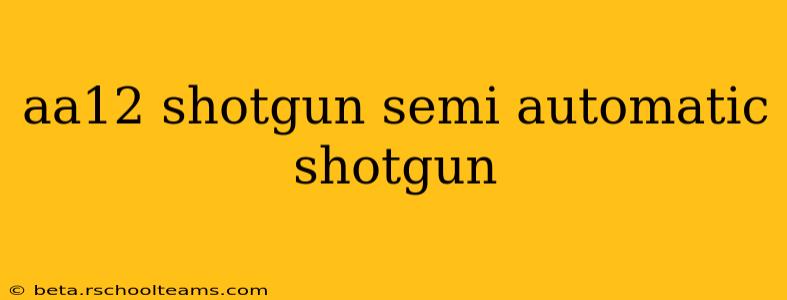aa12 shotgun semi automatic shotgun