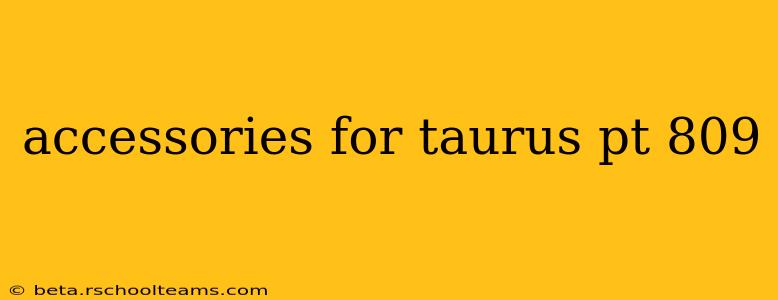 accessories for taurus pt 809