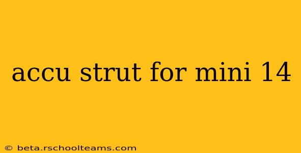 accu strut for mini 14