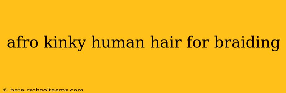 afro kinky human hair for braiding