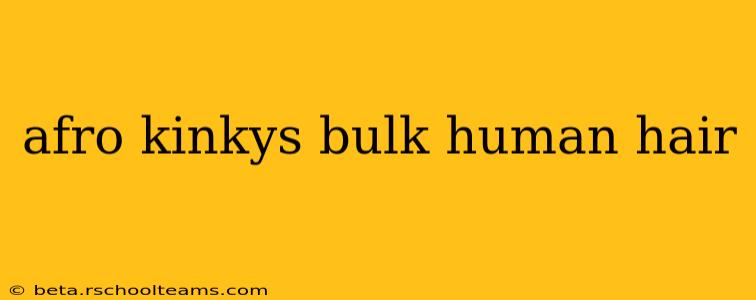afro kinkys bulk human hair