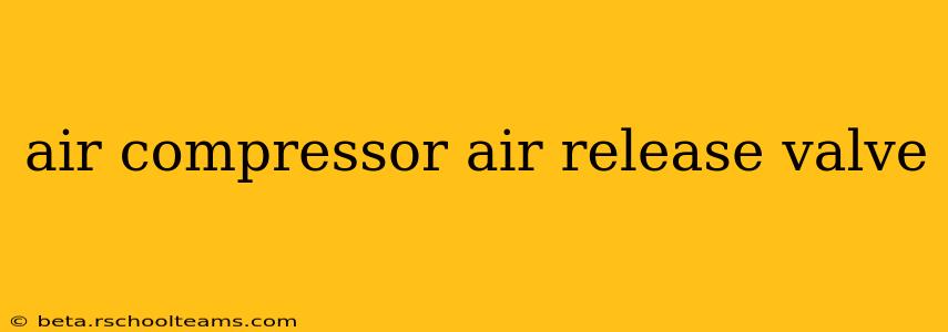 air compressor air release valve