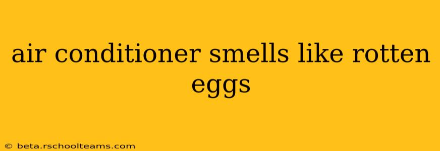 air conditioner smells like rotten eggs