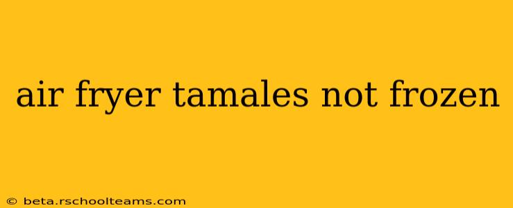 air fryer tamales not frozen