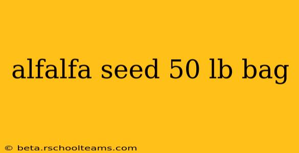 alfalfa seed 50 lb bag