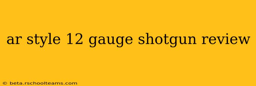ar style 12 gauge shotgun review