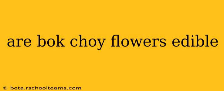 are bok choy flowers edible