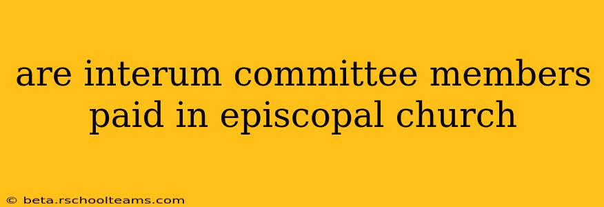 are interum committee members paid in episcopal church