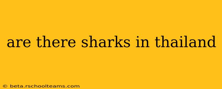 are there sharks in thailand