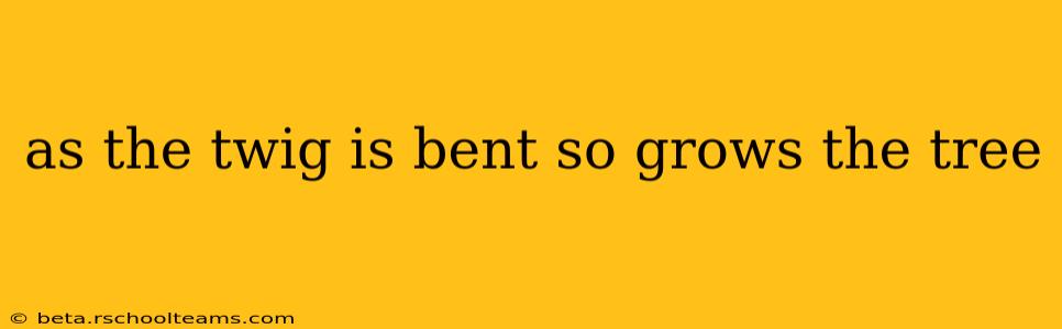 as the twig is bent so grows the tree