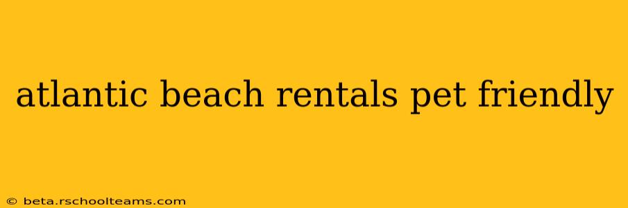 atlantic beach rentals pet friendly