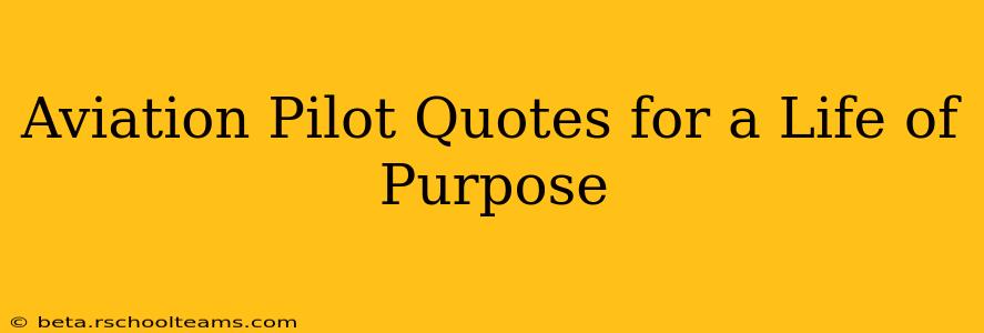 Aviation Pilot Quotes for a Life of Purpose