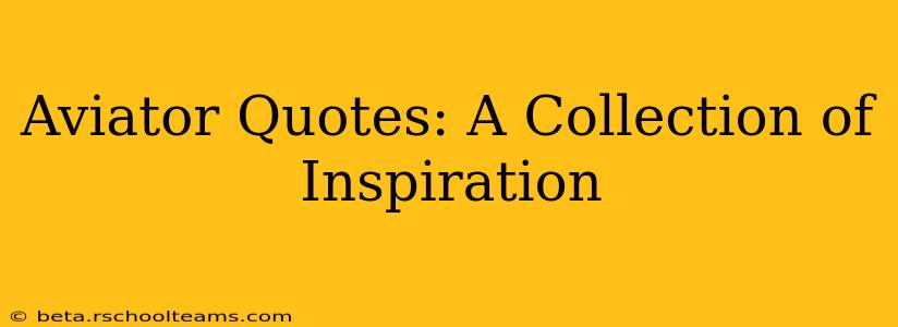 Aviator Quotes: A Collection of Inspiration
