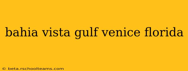 bahia vista gulf venice florida