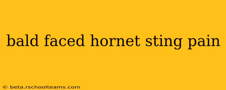 bald faced hornet sting pain