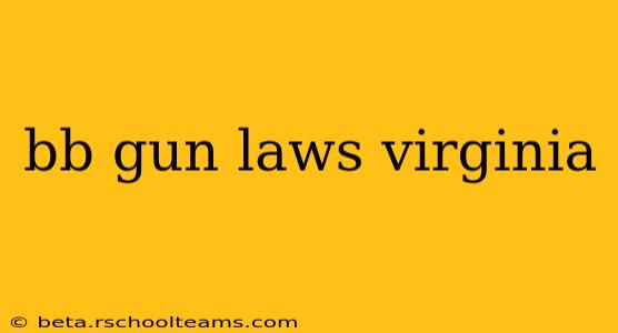 bb gun laws virginia