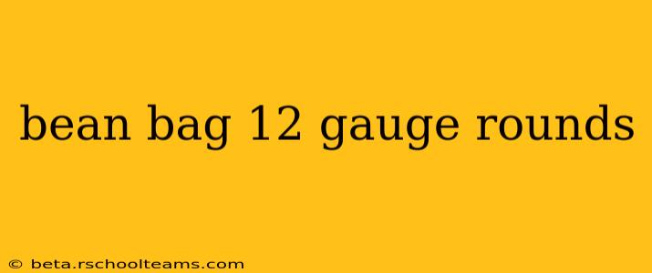 bean bag 12 gauge rounds