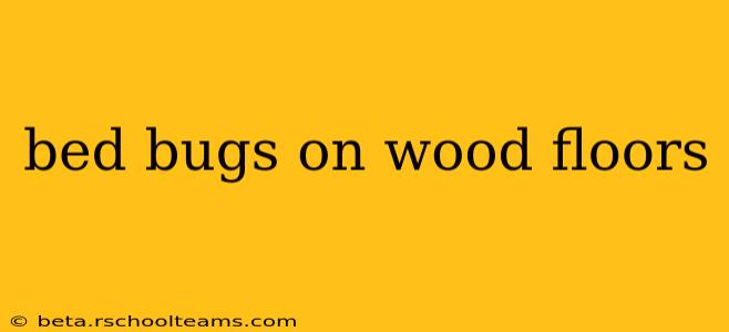 bed bugs on wood floors