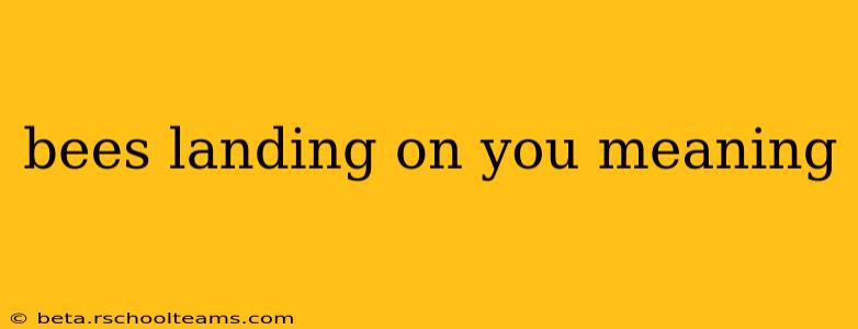 bees landing on you meaning