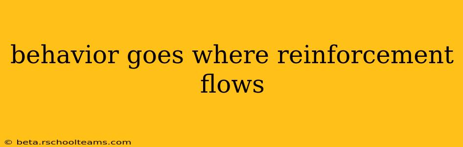 behavior goes where reinforcement flows