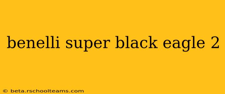 benelli super black eagle 2