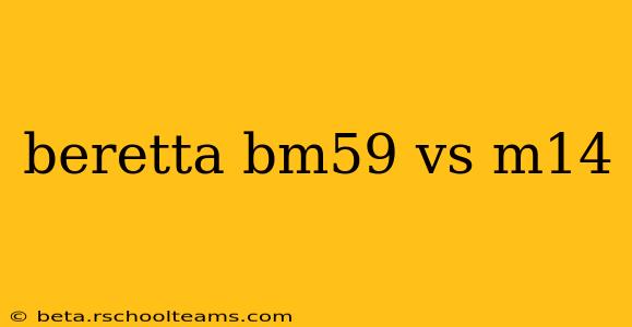 beretta bm59 vs m14