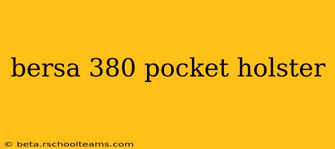 bersa 380 pocket holster