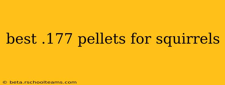 best .177 pellets for squirrels