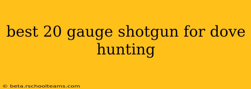 best 20 gauge shotgun for dove hunting