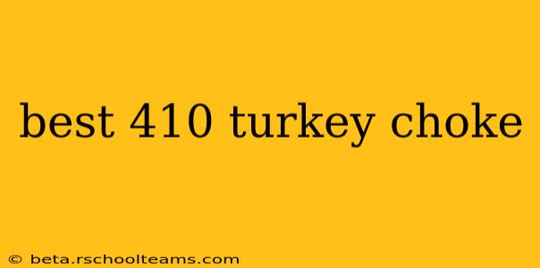 best 410 turkey choke