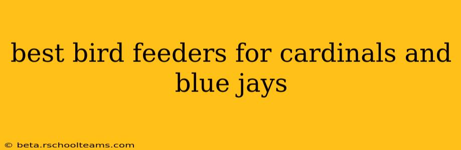 best bird feeders for cardinals and blue jays