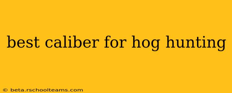 best caliber for hog hunting