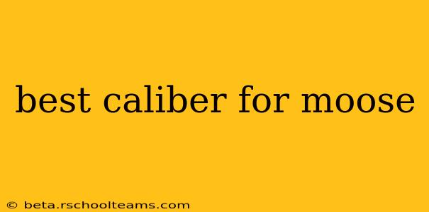best caliber for moose