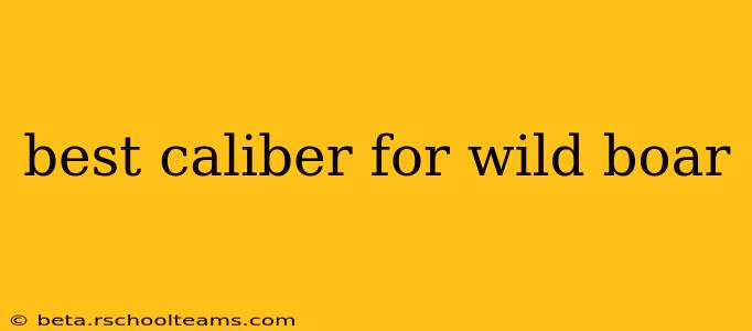 best caliber for wild boar