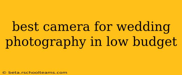 best camera for wedding photography in low budget