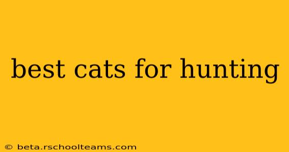 best cats for hunting