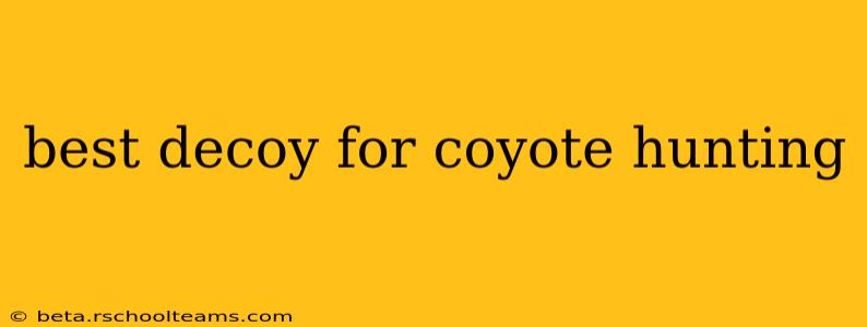 best decoy for coyote hunting
