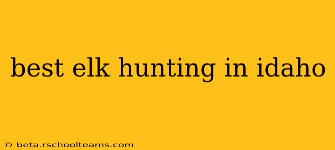 best elk hunting in idaho