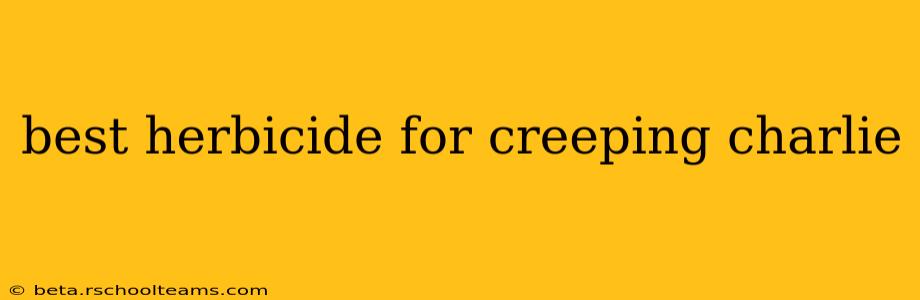 best herbicide for creeping charlie
