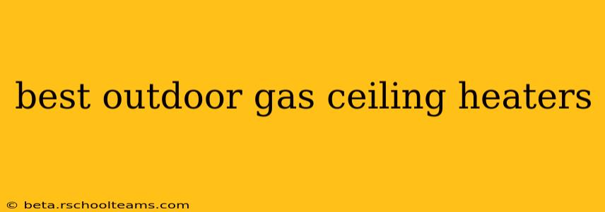 best outdoor gas ceiling heaters