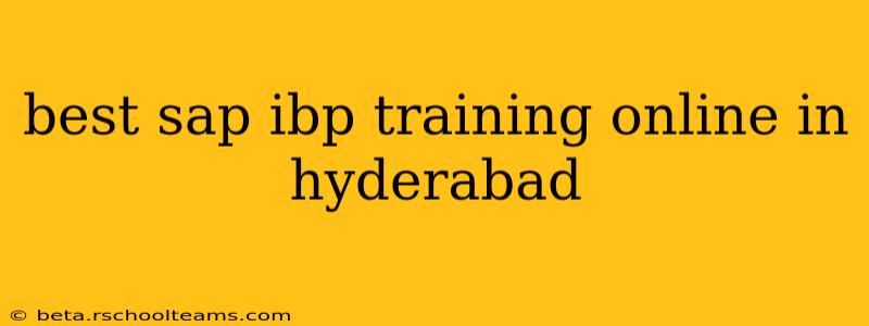 best sap ibp training online in hyderabad