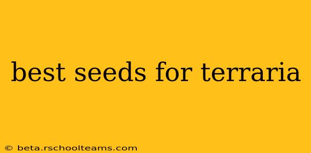 best seeds for terraria