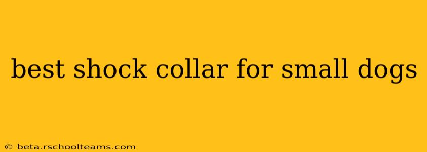 best shock collar for small dogs
