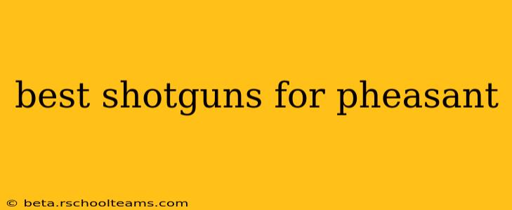 best shotguns for pheasant